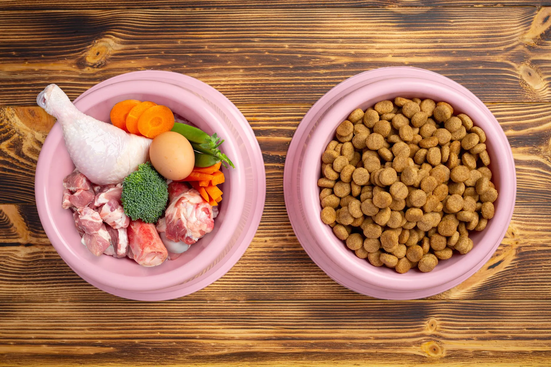 mascotas alimentos 8